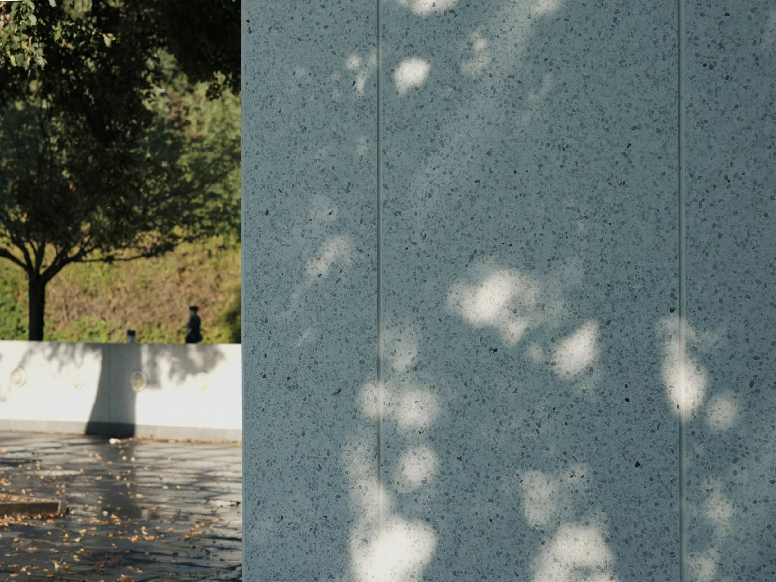 Alexander Rosenkranz
